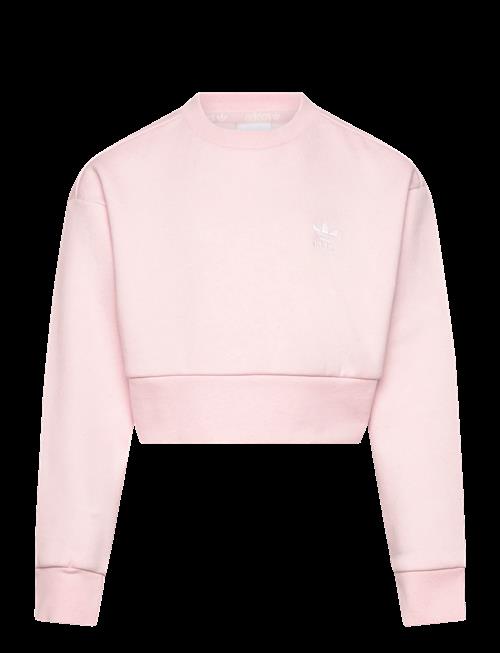 adidas Originals | Boxy Crew | 164