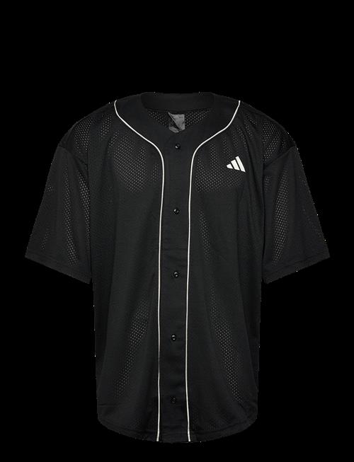 adidas Sportswear | M Sta Seas Shrt | L