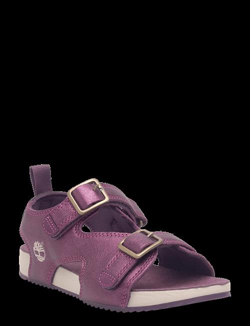 Timberland | Castle Island Backstrap Sandal Bright Purple Metallic | 31