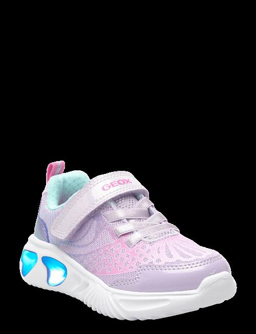 GEOX | J Assister Girl A | 33
