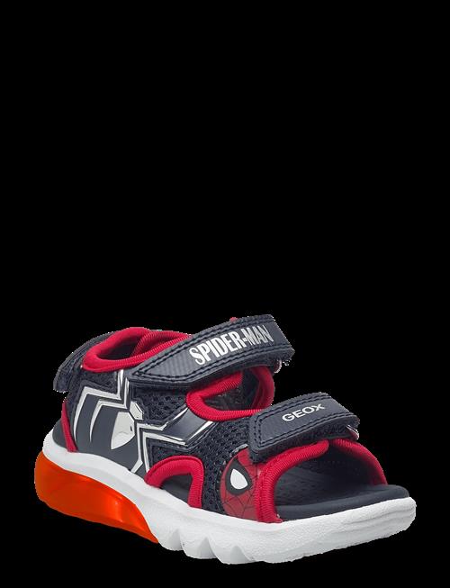GEOX | J Sandal Ciberdron B | 25
