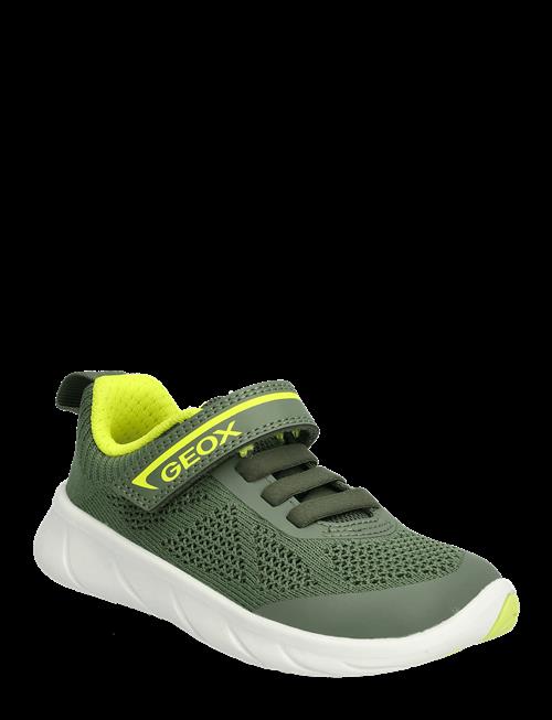 GEOX | J Foot-Run Boy B | 29