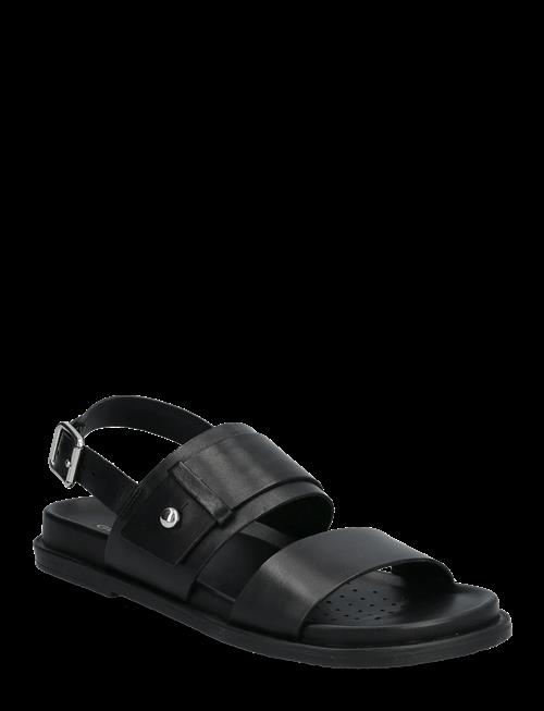 GEOX | D Adelash A | 41