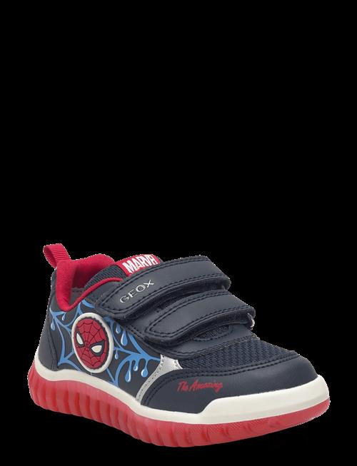 GEOX | B Lightyloo Boy C | 22