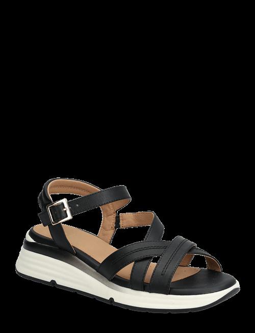 GEOX | D Elowynne A | 35