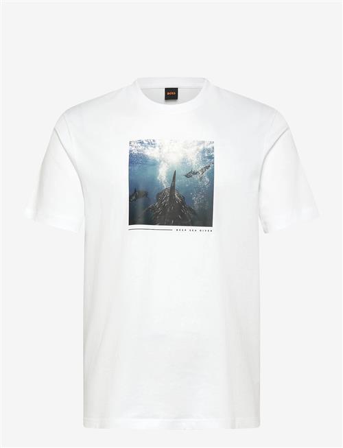 BOSS | Te_Creature | S