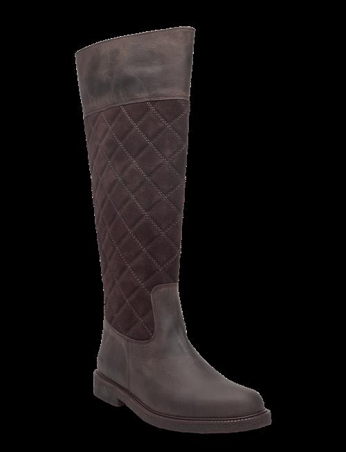 ANGULUS | Booties - Flat | 36