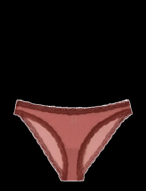Understatement Underwear | Mesh Lace Trim Bikini Briefs | XL