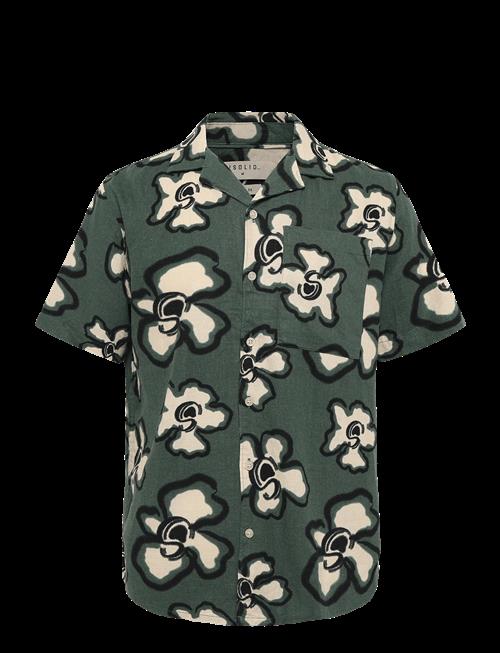 Solid | Sdtrenton | XXL