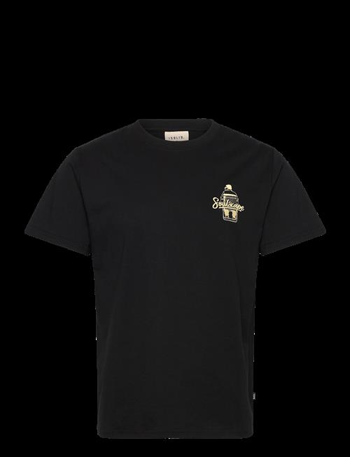 Solid | Sdtrex | XXL