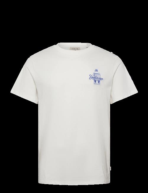 Solid | Sdtrex | XL