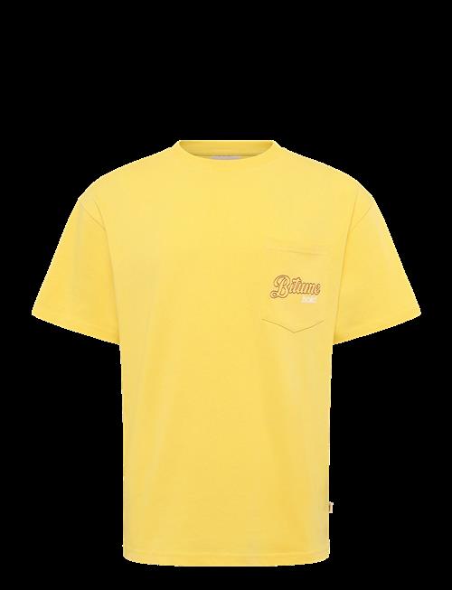 Solid | Sdbrecken | XL