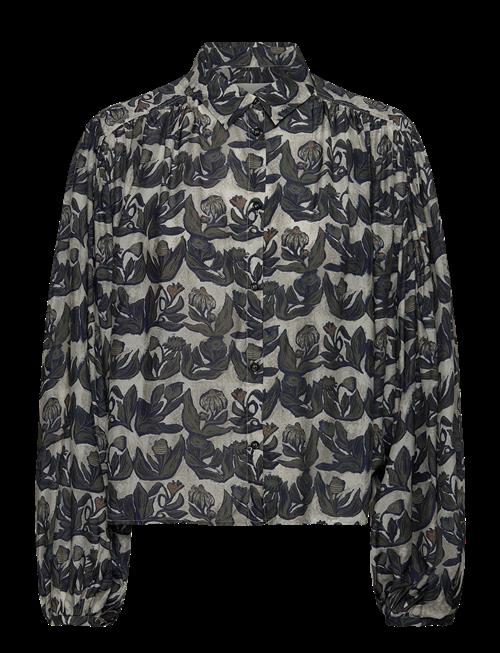 Munthe | Lynx | 34