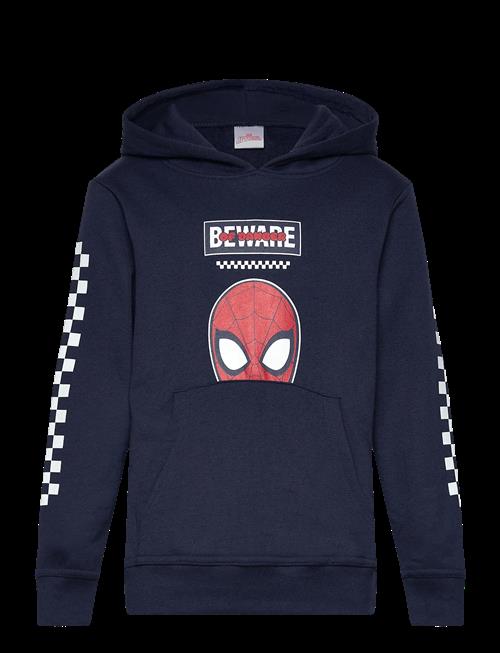 Marvel | Sweats | 98