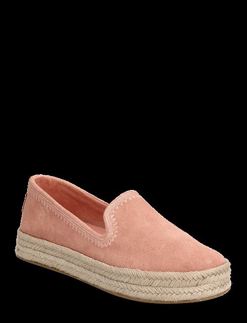 TOMS | Carolina | 38