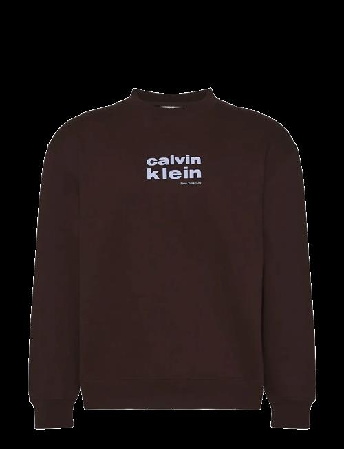 Calvin Klein | Ls 350Fleece Retro Graphic Crewn | L
