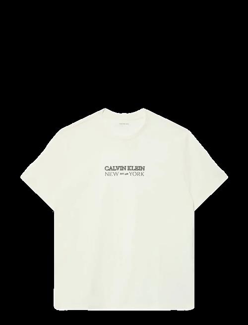 Calvin Klein | Ss 20S Whsl Sp Cklein Ny Graphic | XXL