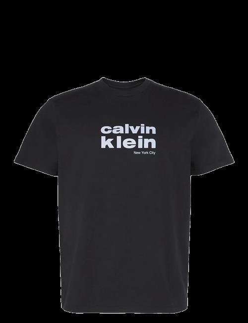 Calvin Klein | Ss 30S Whsl Ckj Jersey Graphic T | M