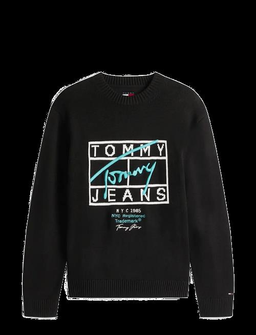 Tommy Jeans | Tjm Reg Signature Sweater Ext | XS