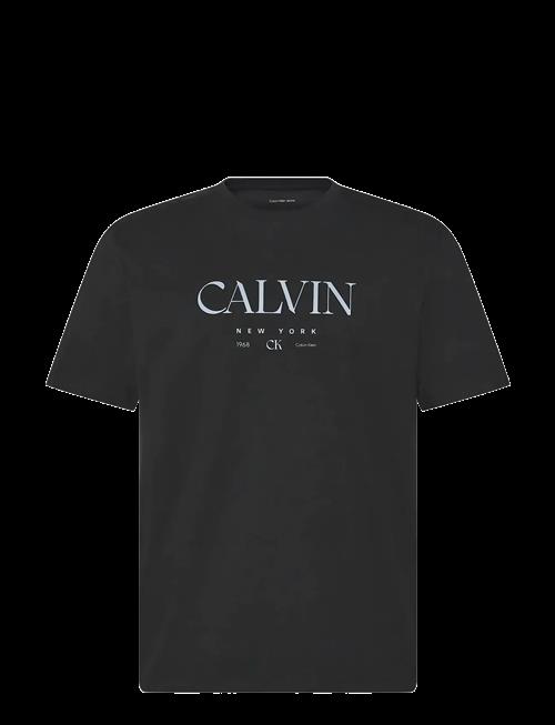 Calvin Klein | Ss 20S Ln Calvin Graphic Tee | XL