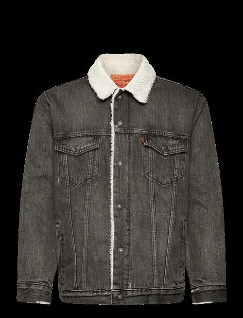 Levi's® | Relaxed Fit Sherpa Trkr Salt L | M
