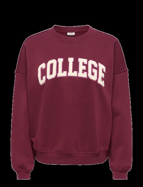 JDY | Jdymesa L/S O-Nk Emb Sweat Jrs Noos | S