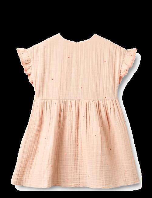 Wheat | Dress Lace Thit | 128