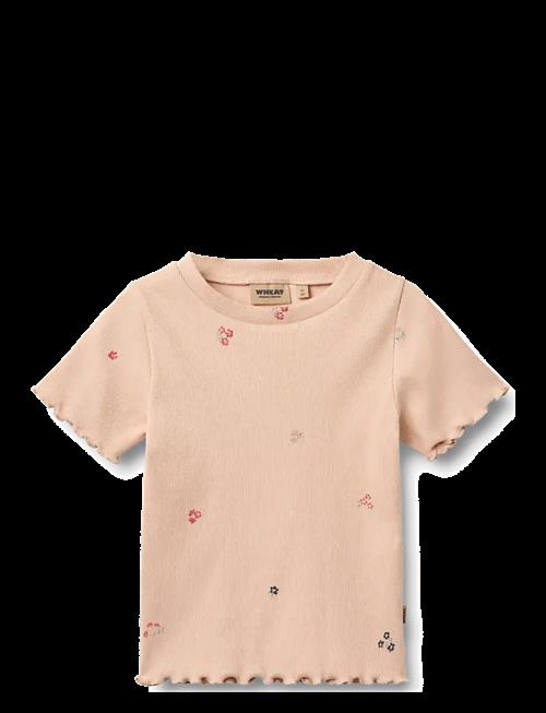 Wheat | Rib T-Shirt S/S Alicia | 110