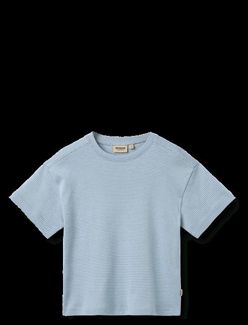 Wheat | T-Shirt S/S Tommy | 128
