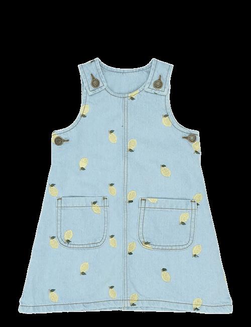 The New | Tnstsaja S_L Denim Dress | 104