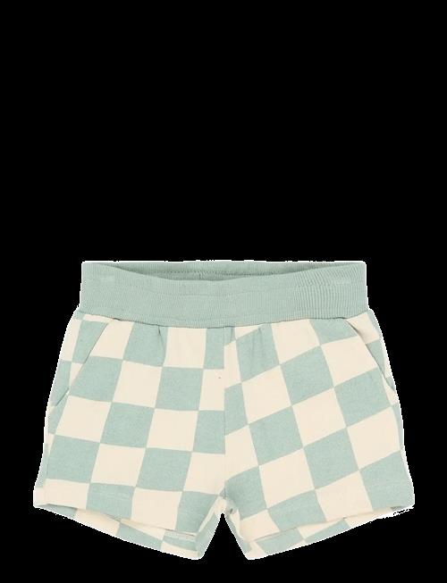 The New | Tnstsebastian Shorts | 110