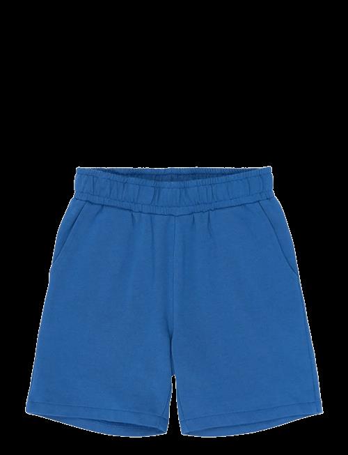 The New | Tnrasmus Sweat Shorts | 134/140