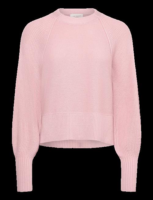 Ted Baker London | Vicckii | M