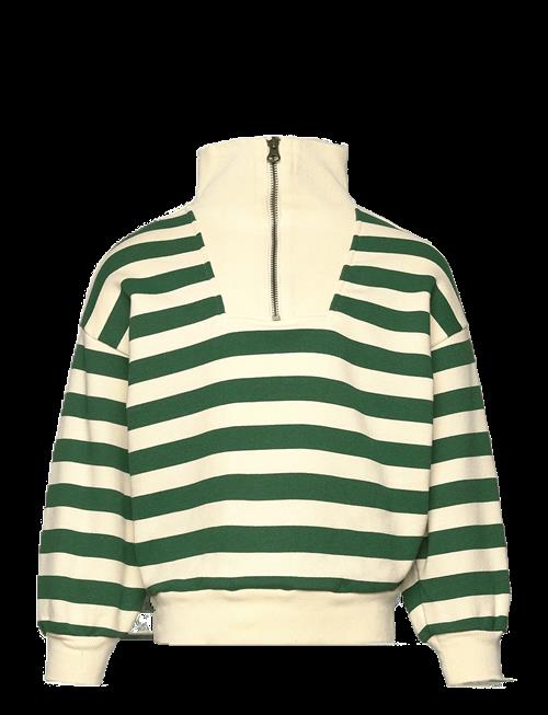 THE ANIMALS OBSERVATORY | Stripes Freen Blowfly Sweatshirt | 4 Y