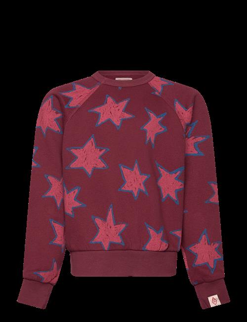 THE ANIMALS OBSERVATORY | Stars Shark Sweatshirt | 8 Y