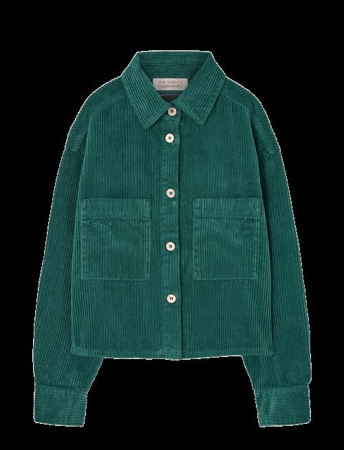 THE ANIMALS OBSERVATORY | Freen Beabull Shirt | 4 Y