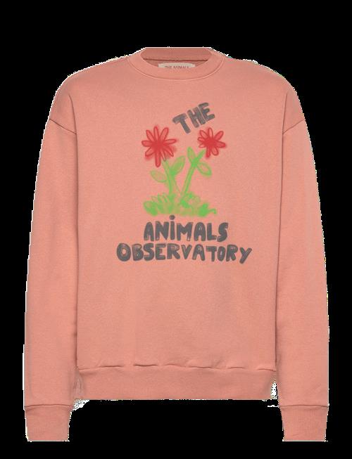 THE ANIMALS OBSERVATORY | Flowers Dusty Coral Bear Sweatshirt | 12 Y