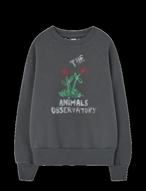 THE ANIMALS OBSERVATORY | Flowers Dark Frey Bear Sweatshirt | 4 Y