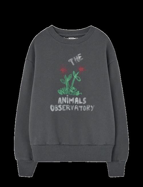 THE ANIMALS OBSERVATORY | Flowers Dark Frey Bear Sweatshirt | 10 Y