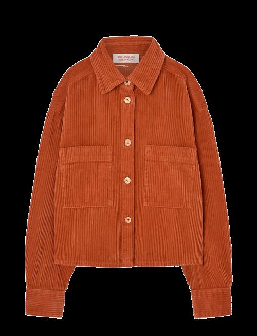 THE ANIMALS OBSERVATORY | Fif Red Beabull Shirt | 4 Y