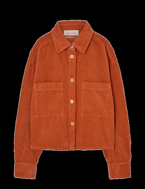 THE ANIMALS OBSERVATORY | Fif Red Beabull Shirt | 10 Y