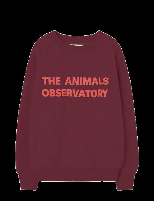 THE ANIMALS OBSERVATORY | Browned Farnet Leo Sweatshirt | 6 Y