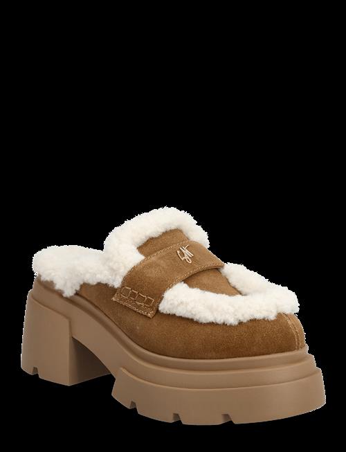Steve Madden | Turnpike | 40