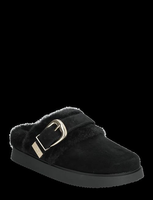Steve Madden | Cozy Up | 38