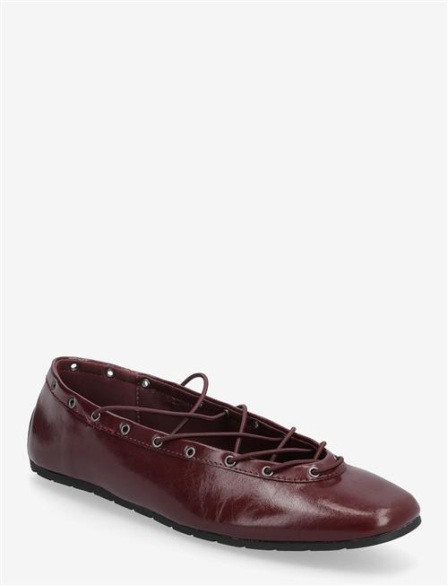 Steve Madden | Pointe | 36