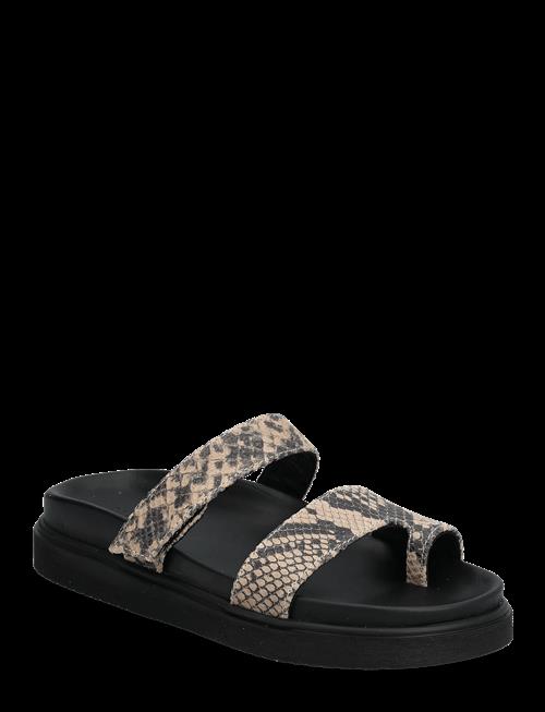 Pavement | Palanza Snake | 37