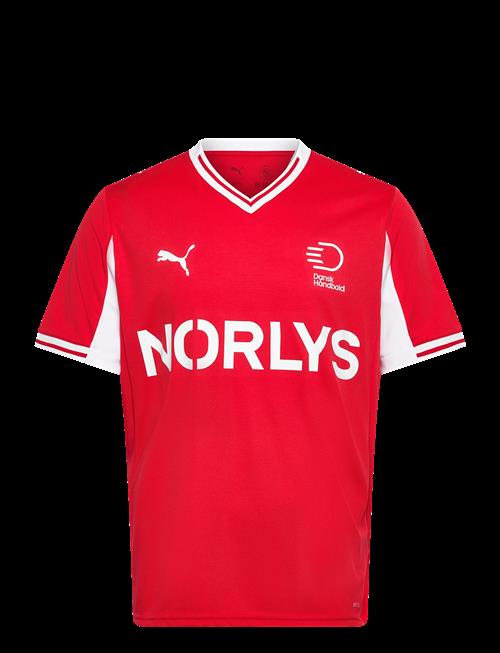 PUMA | Dhf Home Jersey | XS