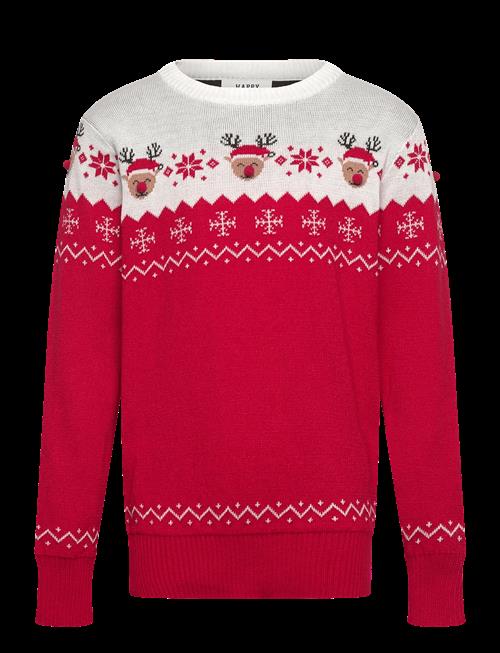 Happy Seasons | The Adorable Christmas Sweater Kids | 13-14ÅR