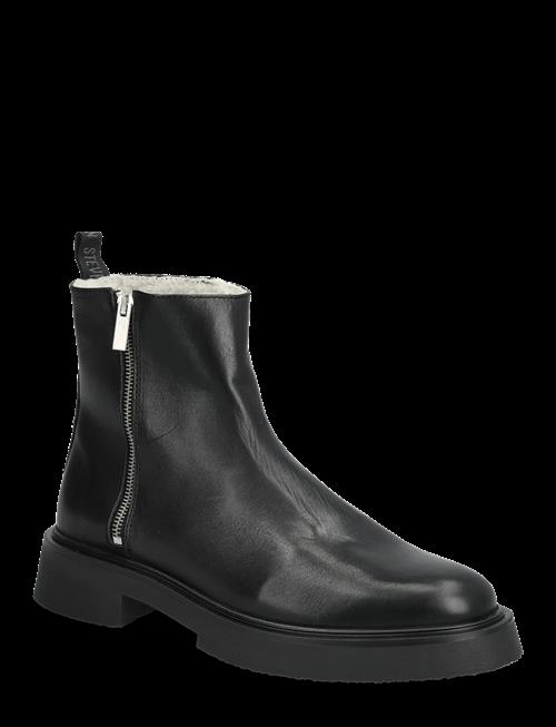 Steve Madden | Zenith-Fl | 40