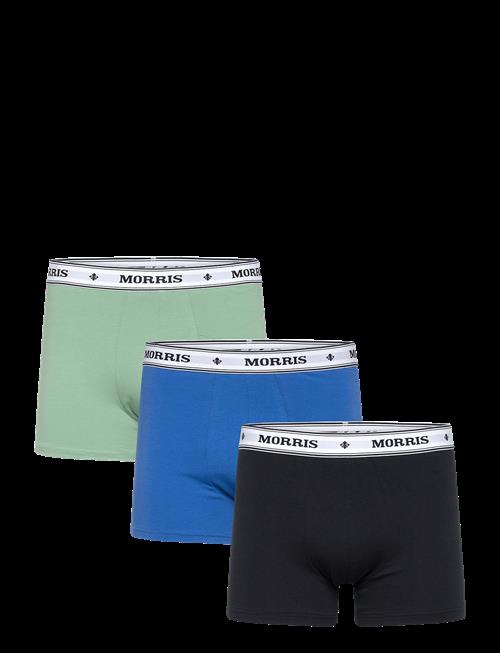Morris | Morris Boxer Brief 3-Pack Blues | XXL